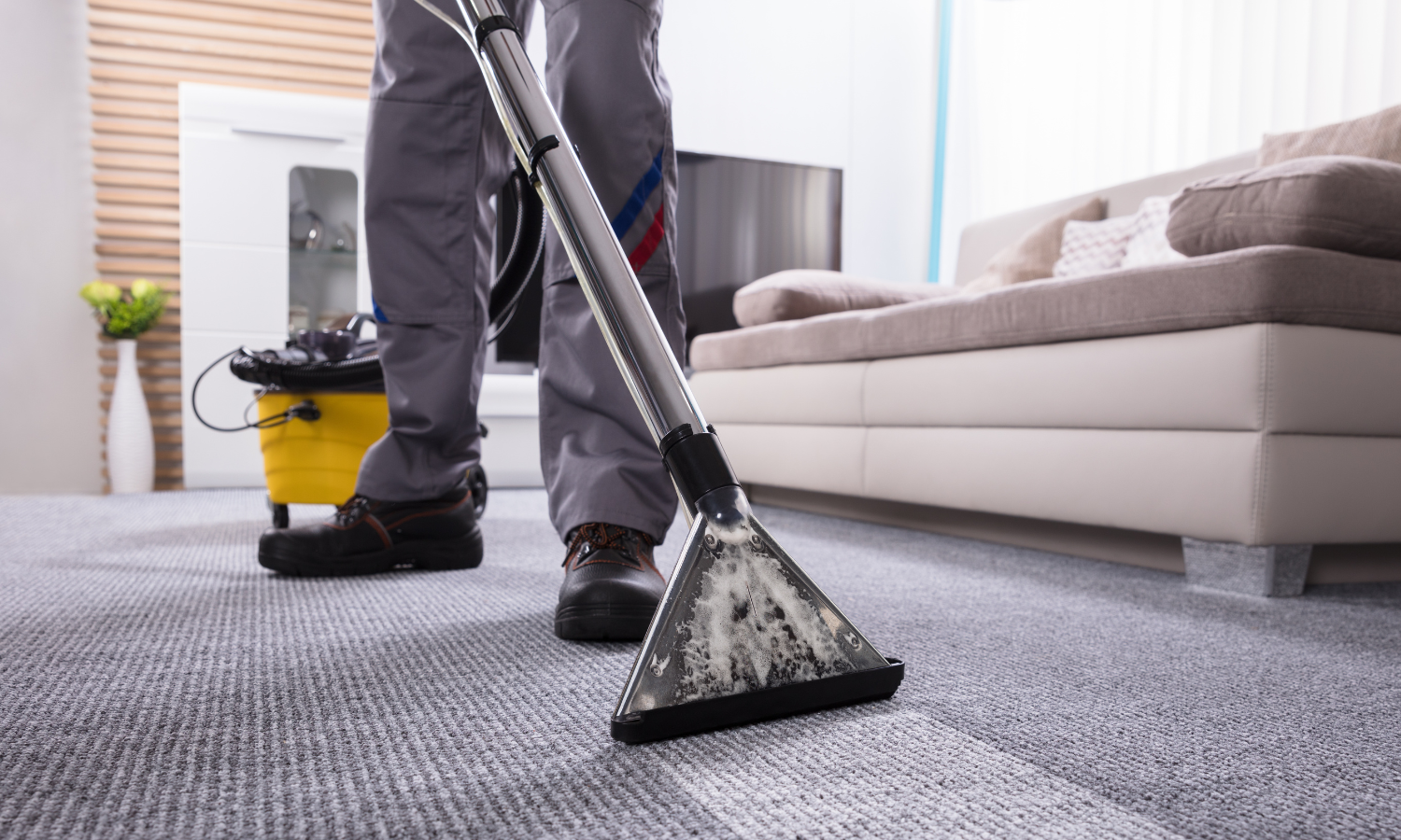 Carpet cleaning with hot water extraction in Burnaby